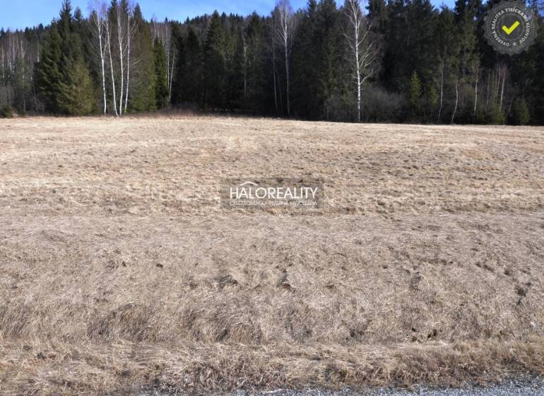 Nálepkovo Land – for living Sale reality Gelnica