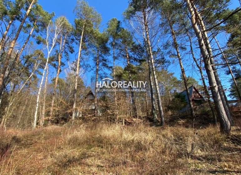 Nová Kelča Recreational land Sale reality Vranov nad Topľou