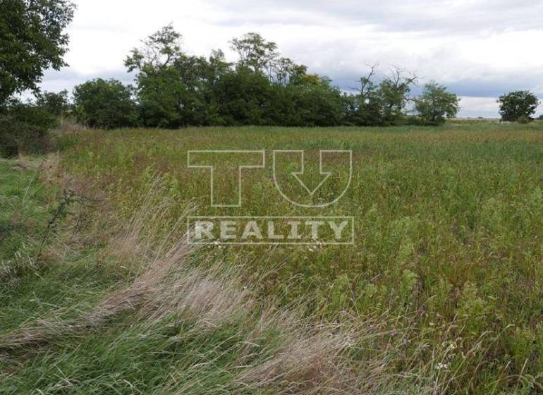 Hurbanova Ves Land – for living Sale reality Senec