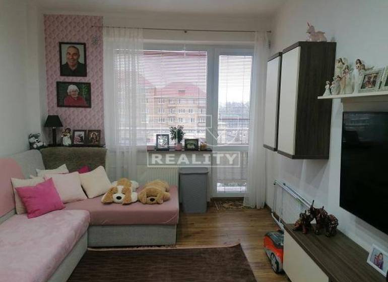 Nová Dubnica One bedroom apartment Sale reality Ilava