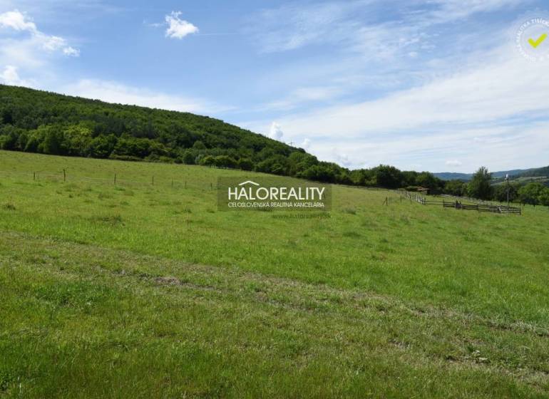 Hrabičov Recreational land Sale reality Žarnovica