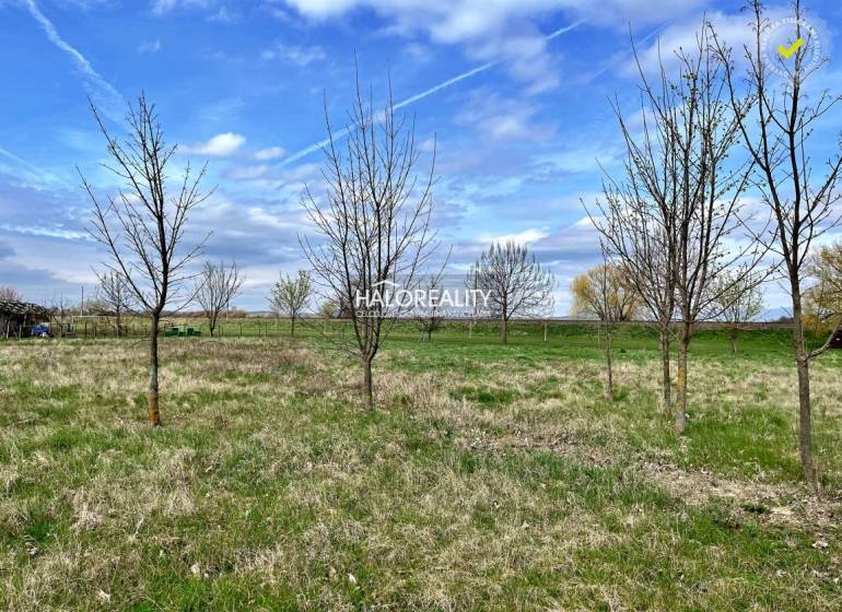 Horná Seč Land – for living Sale reality Levice