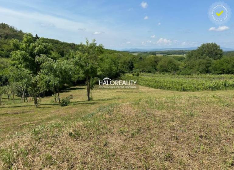 Kráľovský Chlmec Recreational land Sale reality Trebišov