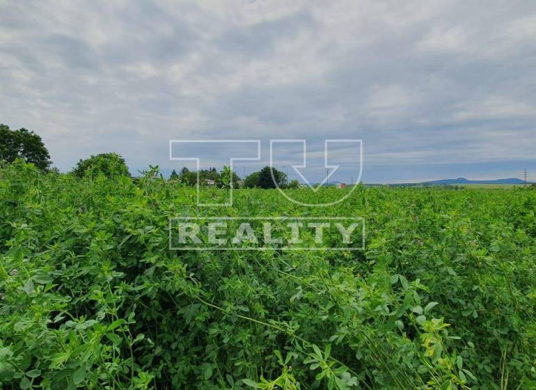 Žitavany Land – for living Sale reality Zlaté Moravce