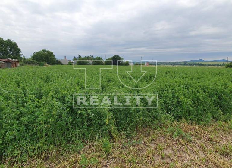 Žitavany Land – for living Sale reality Zlaté Moravce