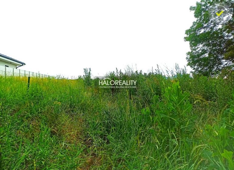 Horná Krupá Land – for living Sale reality Trnava