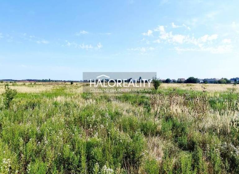 Kalinkovo Agrarian and forest land Sale reality Senec