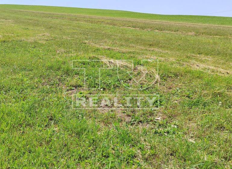 Dohňany Land – for living Sale reality Púchov