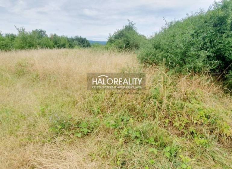 BA - Vajnory Land – for living Sale reality Bratislava - Vajnory