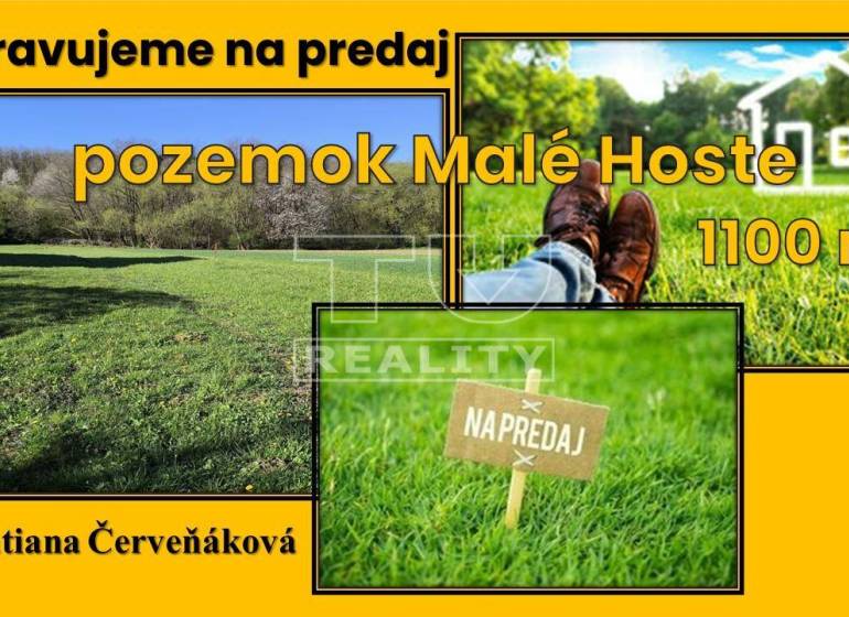 Malé Hoste Land – for living Sale reality Bánovce nad Bebravou