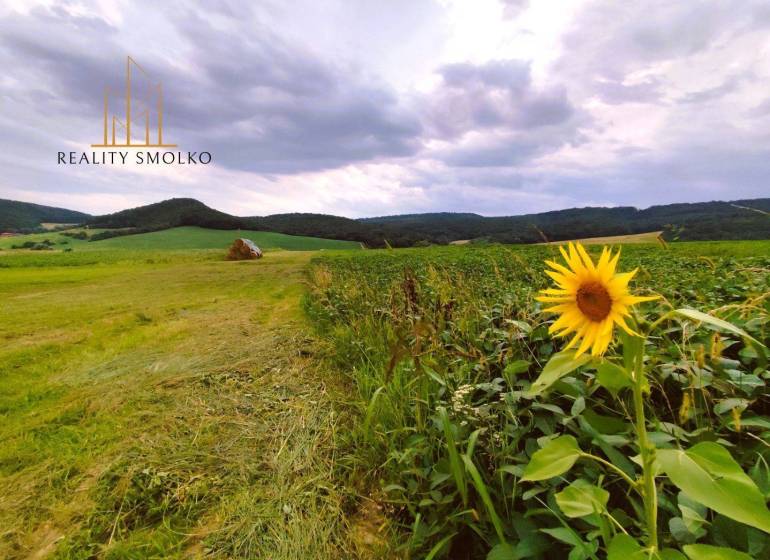 Uzovský Šalgov Agrarian and forest land Sale reality Sabinov