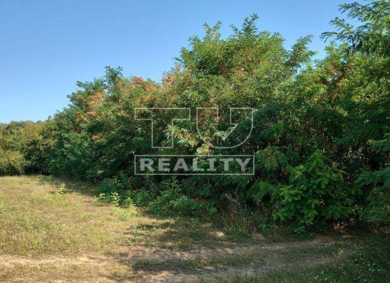 Štvrtok Recreational land Sale reality Trenčín