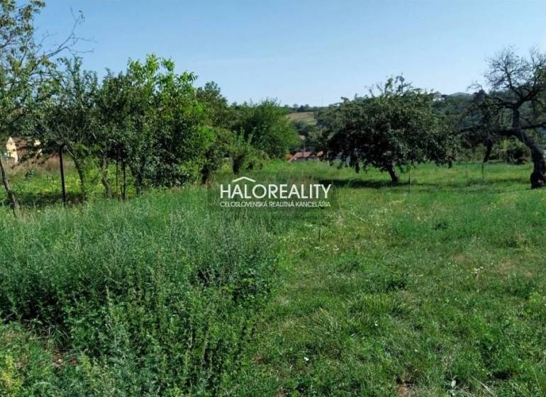 Horné Trhovište Land – for living Sale reality Hlohovec