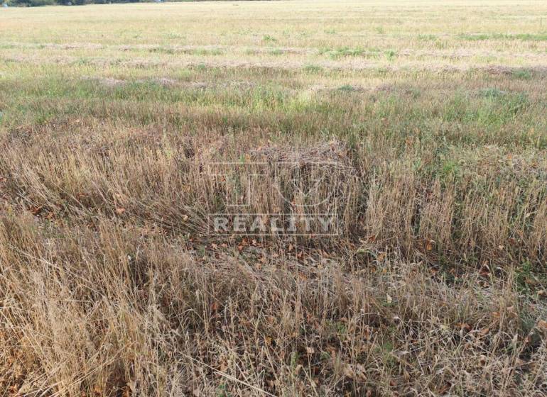 Trebišov Land – for living Sale reality Trebišov