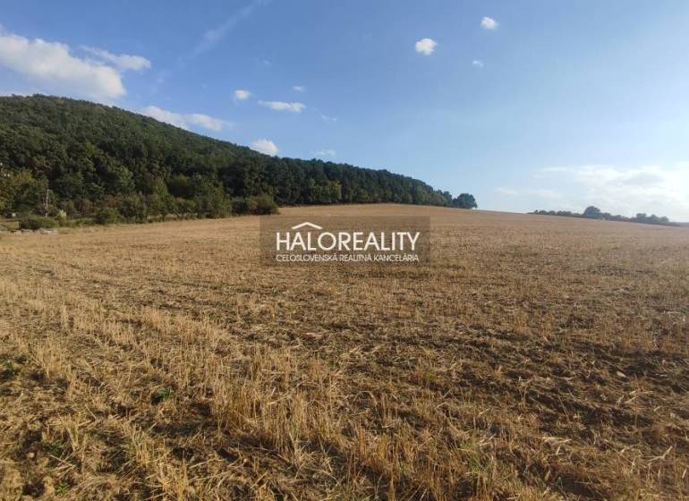 Horná Ves Land – for living Sale reality Prievidza