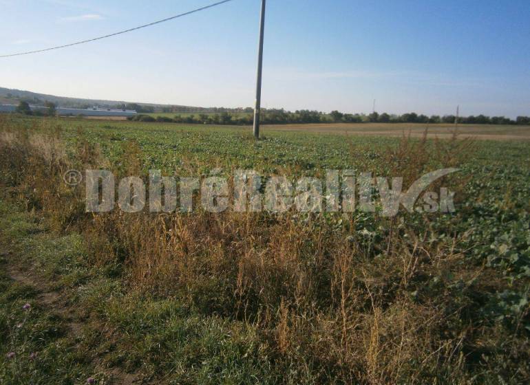 Rumanová Land – for living Sale reality Nitra