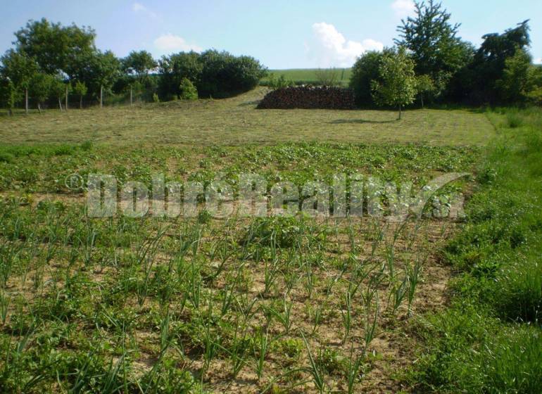 Pastuchov Land – for living Sale reality Hlohovec