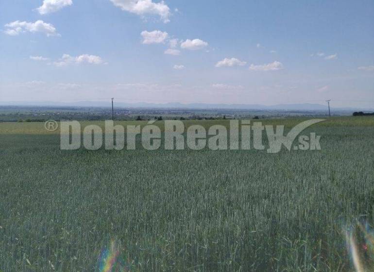 Vinohrady nad Váhom Agrarian and forest land Sale reality Galanta