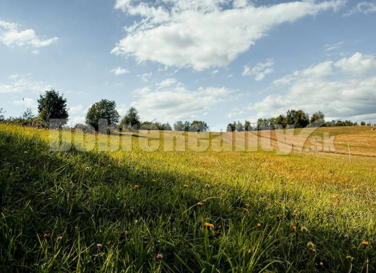 Detvianska Huta Land – for living Sale reality Detva