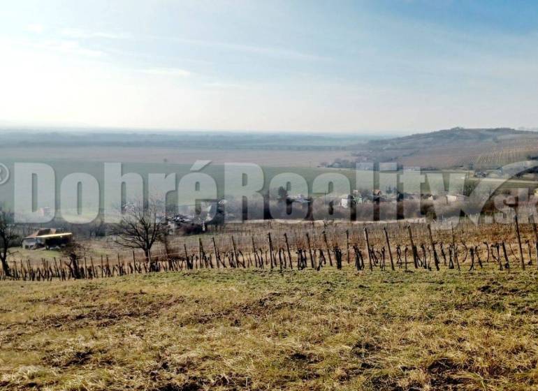 Kamenný Most Vineyards Sale reality Nové Zámky