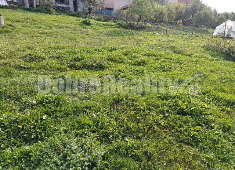 Machulince Land – for living Sale reality Zlaté Moravce