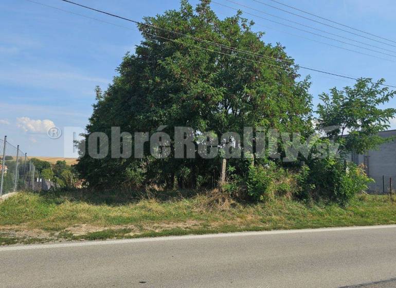 Bojná Land – for living Sale reality Topoľčany