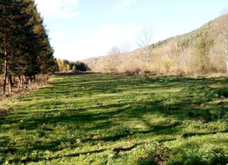 Horný Tisovník Land – for living Sale reality Detva