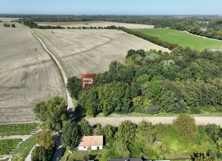 Potônske Lúky Land – for living Sale reality Dunajská Streda