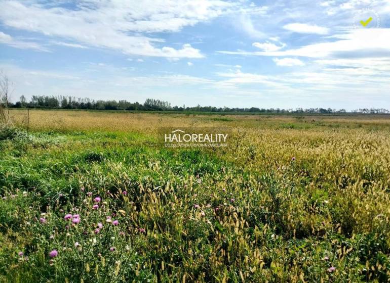 Štefanovičová Land – for living Sale reality Nitra