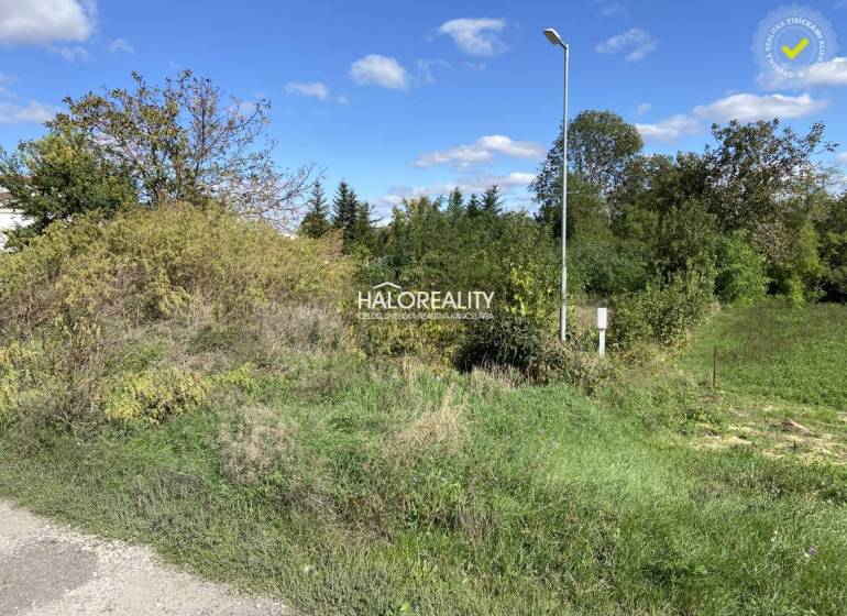 Kaplna Land – for living Sale reality Senec