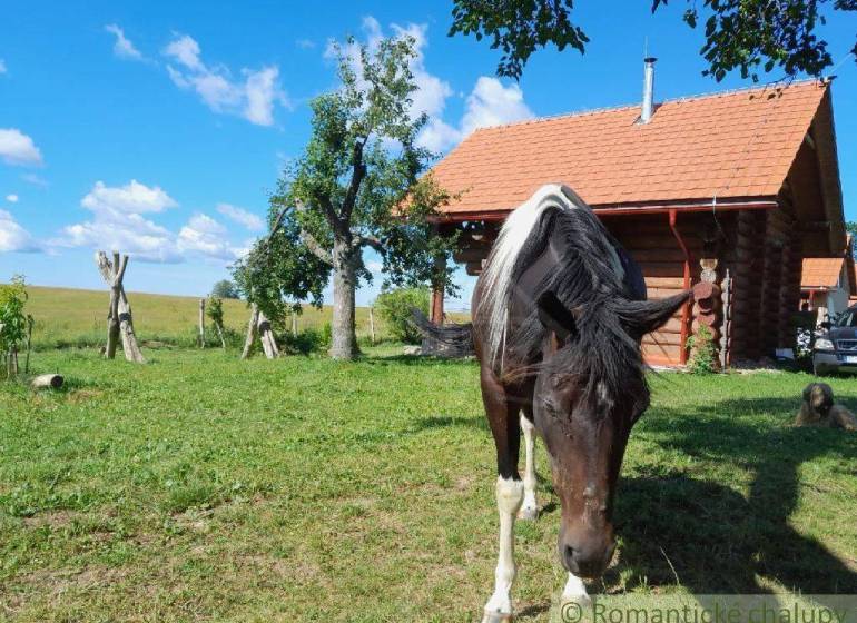 Zemiansky Vrbovok Cottage Sale reality Krupina