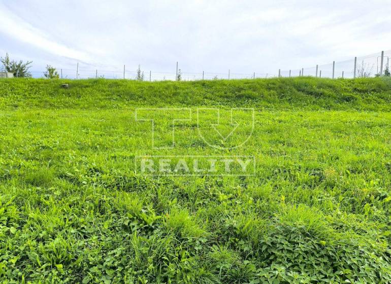 Tesáre Land – for living Sale reality Topoľčany