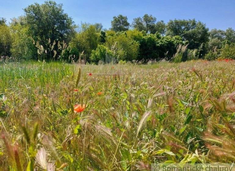 Radvaň nad Dunajom Agrarian and forest land Sale reality Komárno