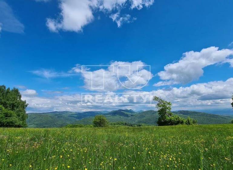 Horné Srnie Recreational land Sale reality Trenčín