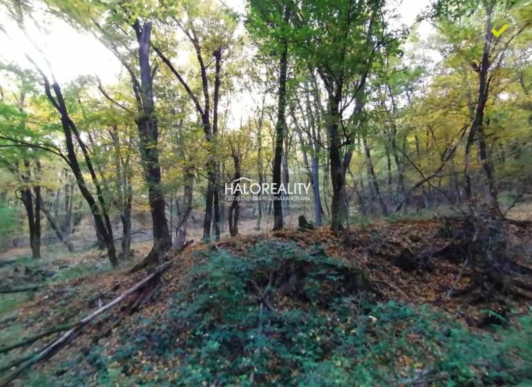 Hrušov Land – for living Sale reality Veľký Krtíš