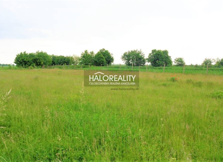 Cabaj - Čápor Land – for living Sale reality Nitra