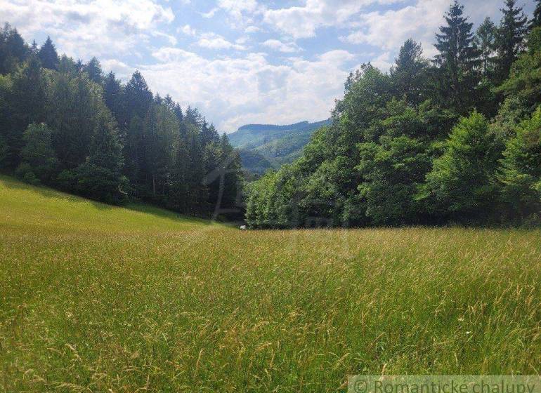 Záriečie Agrarian and forest land Sale reality Púchov