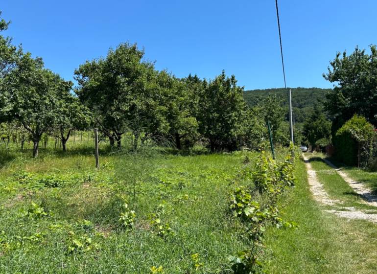 Nitra Land – for living Sale reality Nitra