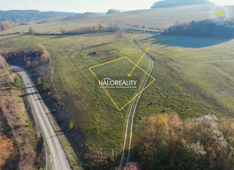 Sverepec Agrarian and forest land Sale reality Považská Bystrica