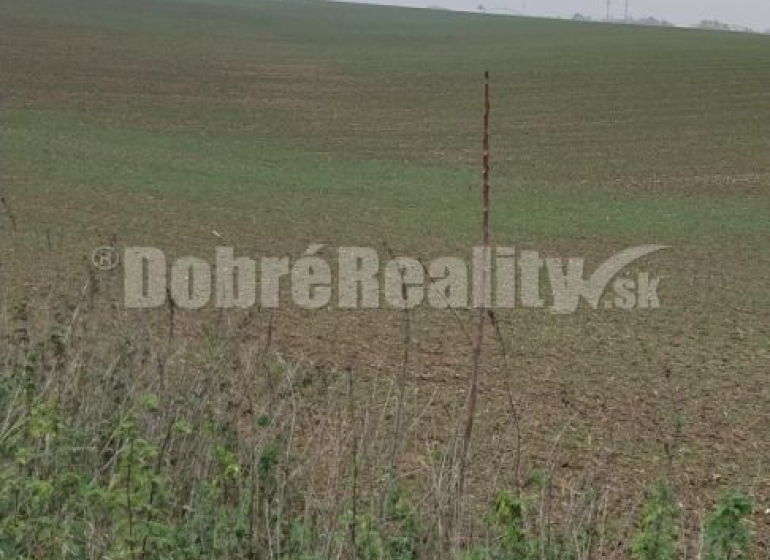 Nitra Agrarian and forest land Sale reality Nitra