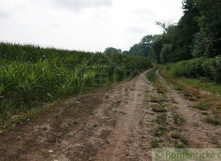 Pezinok Agrarian and forest land Sale reality Pezinok