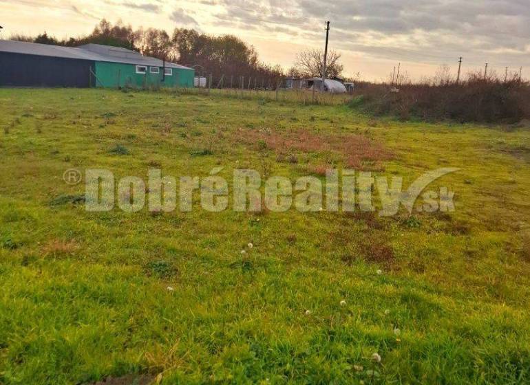 Nesvady Land – for living Sale reality Komárno