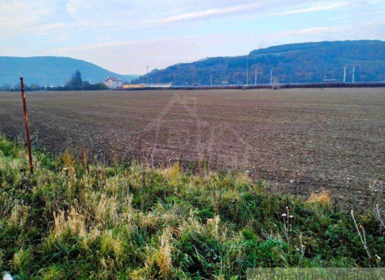 Trenčianske Bohuslavice Agrarian and forest land Sale reality Nové Mesto nad Váhom