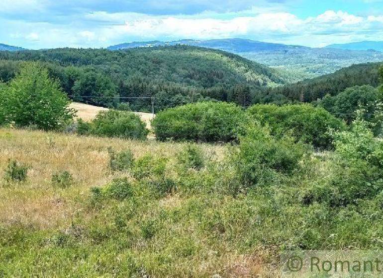 Ábelová Agrarian and forest land Sale reality Lučenec