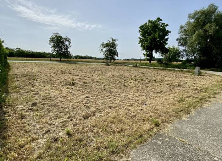 Veľký Meder Agrarian and forest land Sale reality Dunajská Streda