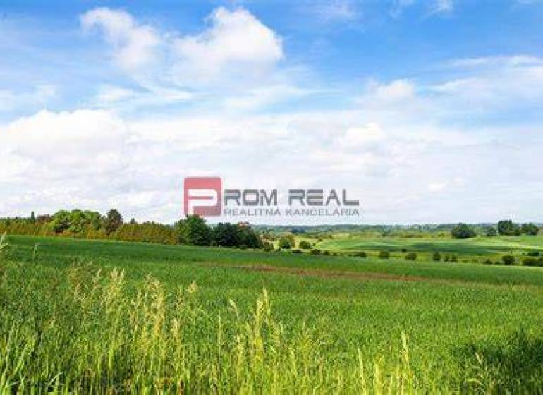 Agrarian and forest land Sale reality Bratislava V