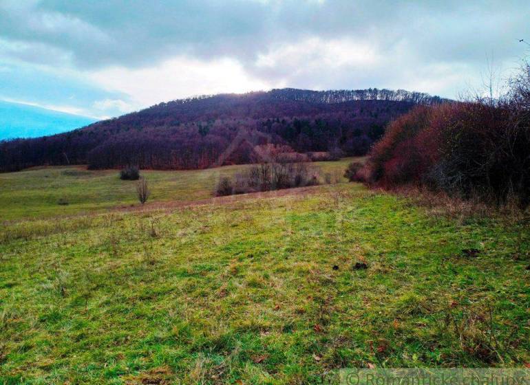 Nové Mesto nad Váhom Agrarian and forest land Sale reality Nové Mesto nad Váhom