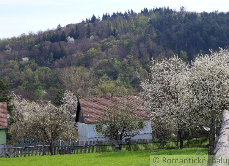 Horný Tisovník Family house Sale reality Detva