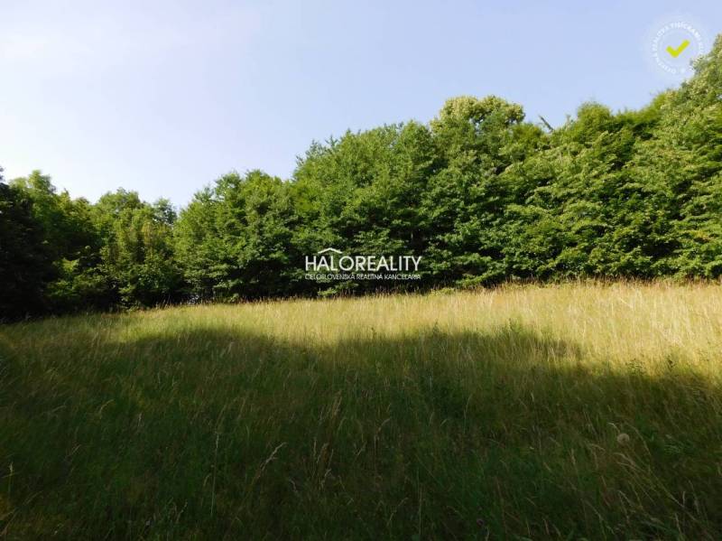 Banská Štiavnica Land – for living Sale reality Banská Štiavnica