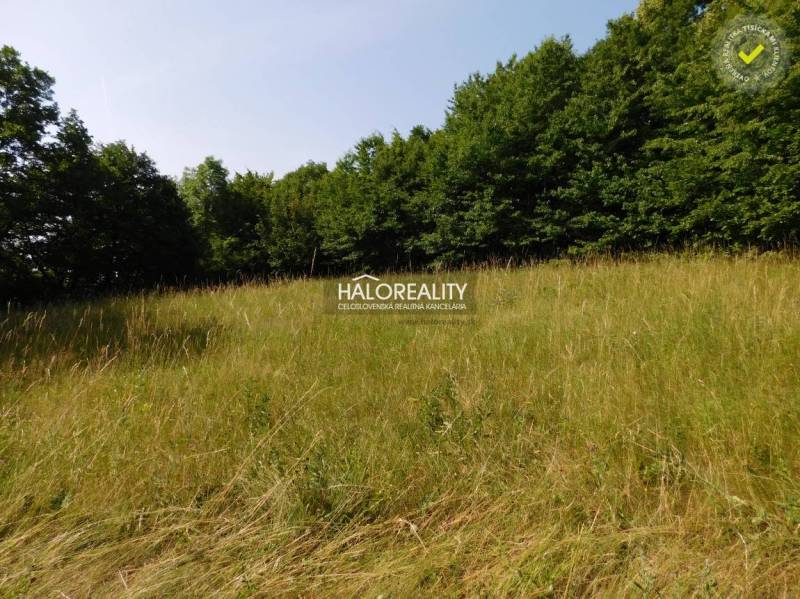 Banská Štiavnica Land – for living Sale reality Banská Štiavnica